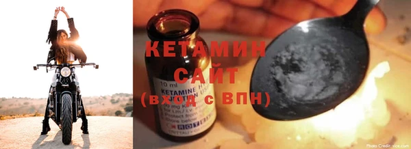 стаф Аркадак