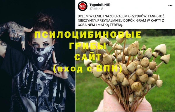 PSILOCYBIN Арсеньев