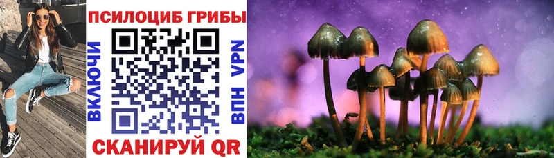 наркотики  Палласовка  Псилоцибиновые грибы прущие грибы 